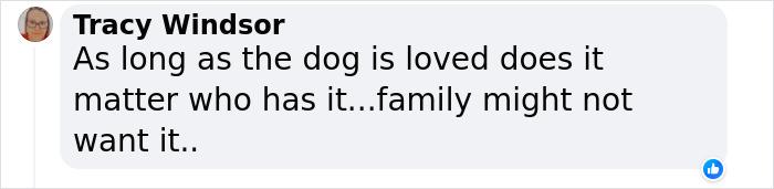 Lisa Kudrow “Wants To Adopt Matthew Perry's Dog” As She Shares Sad Theory Behind His Death