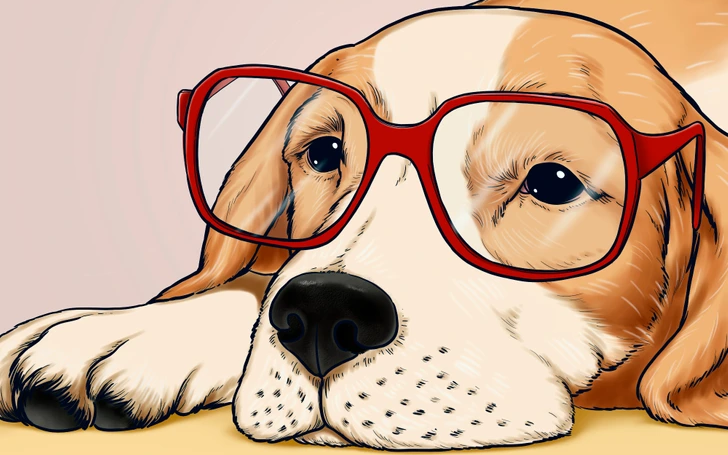 A Comprehensive Guide To The Longevity Of Different Dog Breeds