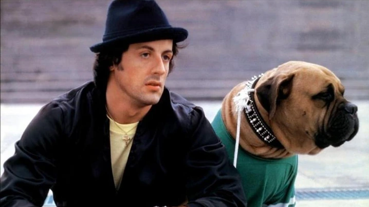 Sylvester Stallone’s Unbreakable Bond