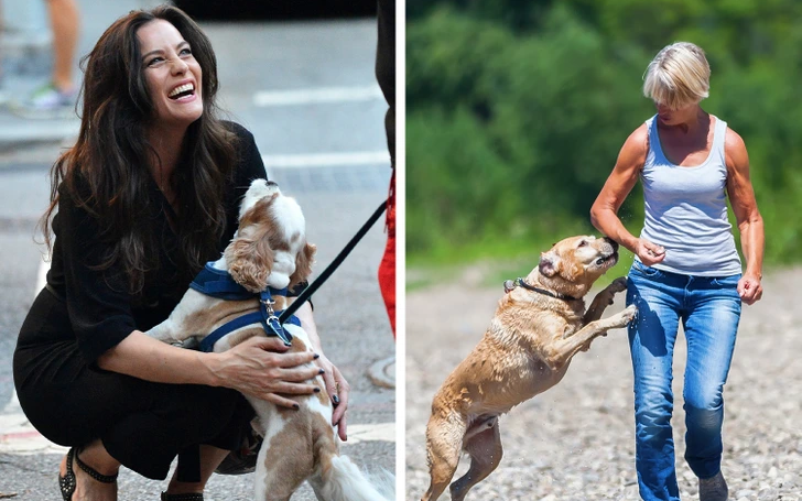 Bonding With The Bark: 8 Unforgettable Reminders For Every Dog Owner