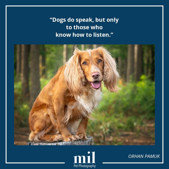 Orhan Pamuk - "Dogs Do Speak, But Only To Those Who Know How To Listen"