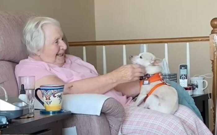 Gucci, 11, Finds Joy In A 100-year-old Woman’s Adoption.